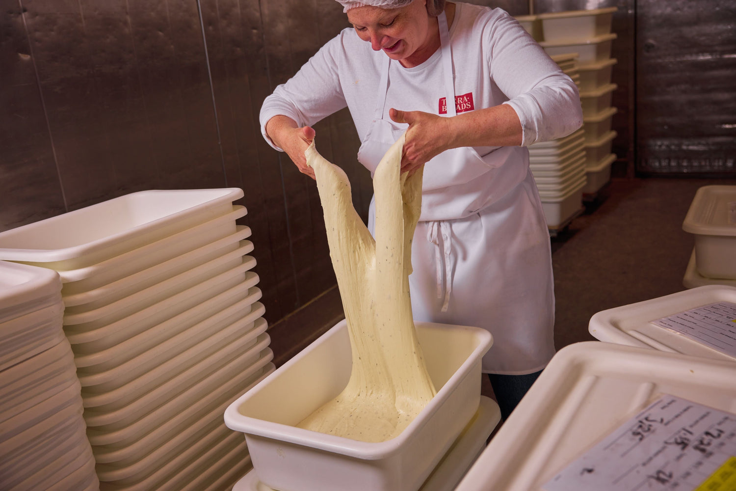 All About Fermentation